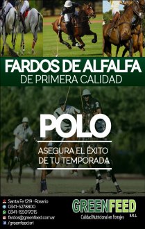 POLO TEMPORADA 2016