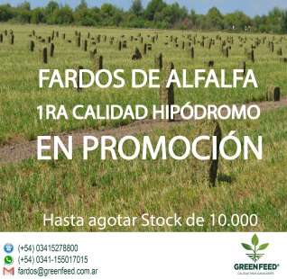FARDOS DE ALFALFA DE 1RA CALIDAD HIPÓDROMO EN PROMOCIÓN 